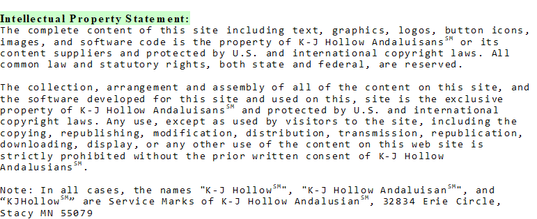 Word 2007 Document