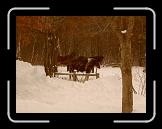 SD530002 * 2560 x 1920 * (1.25MB)