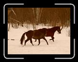 SD530012 * 2560 x 1920 * (1.25MB)